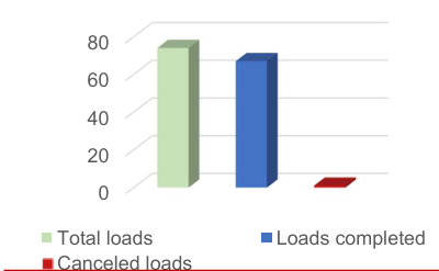 Descripción de la imagen